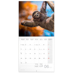 Keep Smiling, képes lemeznaptár 2026