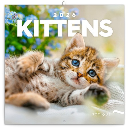 Kittens, képes lemeznaptár 2026