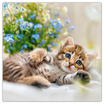 Kittens, képes lemeznaptár 2026 Kittens, képes lemeznaptár 2026