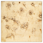 Leonardo da Vinci, képes lemeznaptár 2026