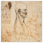 Leonardo da Vinci, képes lemeznaptár 2026