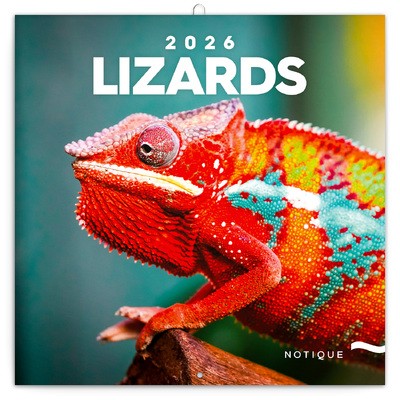 Lizards, képes lemeznaptár 2026