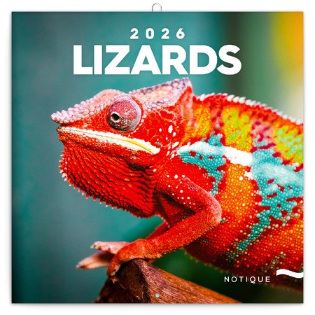 Lizards, képes lemeznaptár 2026