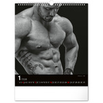 Men, képes falinaptár 2026