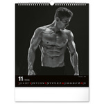 Men, képes falinaptár 2026