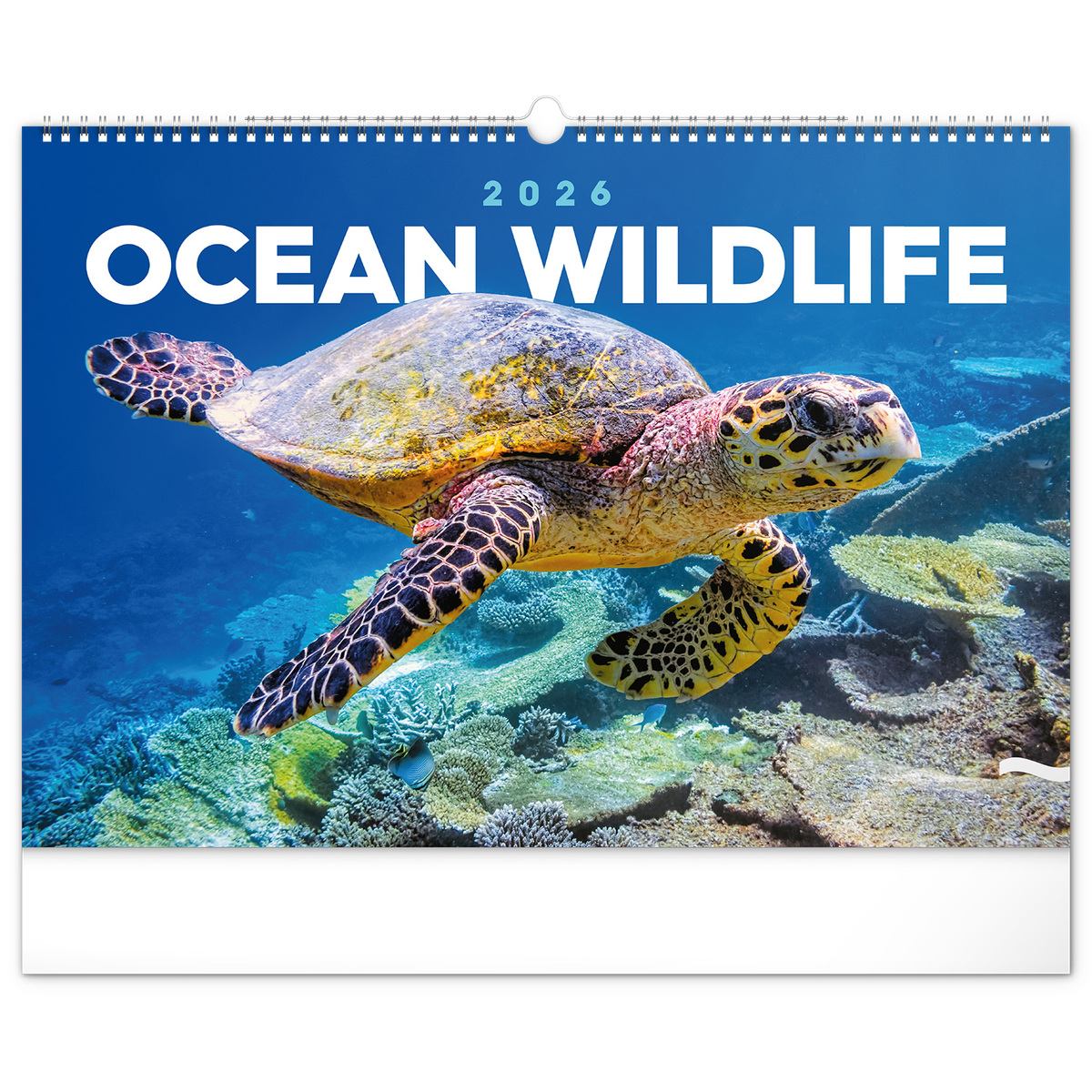 Ocean Wildlife, képes falinaptár 2026 Ocean Wildlife, képes falinaptár 2026