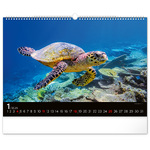 Ocean Wildlife, képes falinaptár 2026 Ocean Wildlife, képes falinaptár 2026