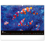 Ocean Wildlife, képes falinaptár 2026 Ocean Wildlife, képes falinaptár 2026