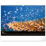 Ocean Wildlife, képes falinaptár 2026 Ocean Wildlife, képes falinaptár 2026