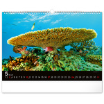Ocean Wildlife, képes falinaptár 2026 Ocean Wildlife, képes falinaptár 2026