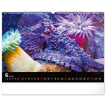 Ocean Wildlife, képes falinaptár 2026 Ocean Wildlife, képes falinaptár 2026