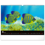 Ocean Wildlife, képes falinaptár 2026 Ocean Wildlife, képes falinaptár 2026
