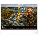 Ocean Wildlife, képes falinaptár 2026 Ocean Wildlife, képes falinaptár 2026