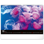 Ocean Wildlife, képes falinaptár 2026 Ocean Wildlife, képes falinaptár 2026