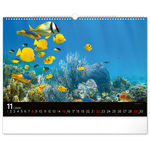 Ocean Wildlife, képes falinaptár 2026 Ocean Wildlife, képes falinaptár 2026