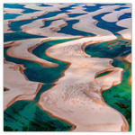 Our Planet, képes lemeznaptár 2026