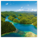 Our Planet, képes lemeznaptár 2026