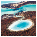 Our Planet, képes lemeznaptár 2026