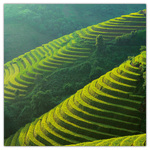 Our Planet, képes lemeznaptár 2026