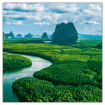 Our Planet, képes lemeznaptár 2026