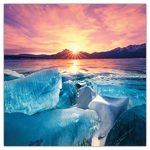 Our Planet, képes lemeznaptár 2026