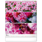 Palette, képes falinaptár 2026