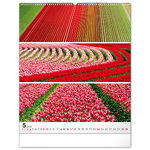 Palette, képes falinaptár 2026