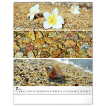 Palette, képes falinaptár 2026