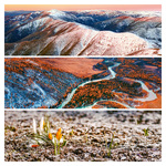 Palette, képes lemeznaptár 2026