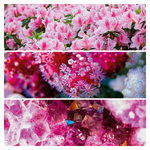 Palette, képes lemeznaptár 2026