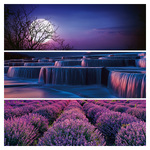 Palette, képes lemeznaptár 2026