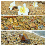 Palette, képes lemeznaptár 2026