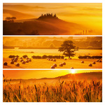 Palette, képes lemeznaptár 2026