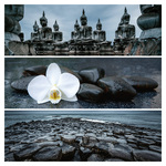 Palette, képes lemeznaptár 2026