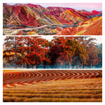 Palette, képes lemeznaptár 2026 Palette, képes lemeznaptár 2026