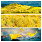 Palette, képes lemeznaptár 2026