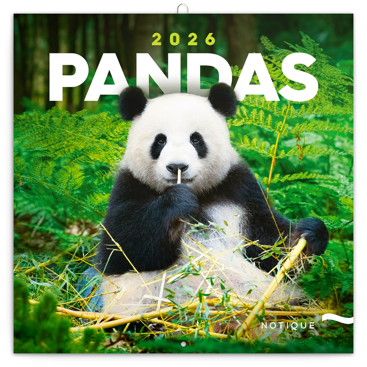 Pandas, képes lemeznaptár 2026 Pandas, képes lemeznaptár 2026