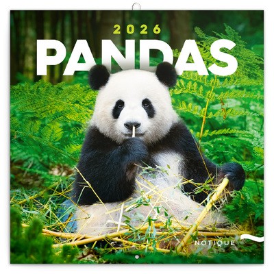 Pandas, képes lemeznaptár 2026