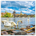 Prague, képes lemeznaptár 2026