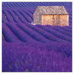 Provence - illatosított, képes lemeznaptár 2026 Provence - illatosított, képes lemeznaptár 2026