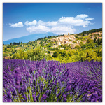 Provence - illatosított, képes lemeznaptár 2026 Provence - illatosított, képes lemeznaptár 2026