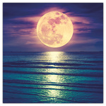 The Moon, képes lemeznaptár 2026 The Moon, képes lemeznaptár 2026