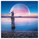 The Moon, képes lemeznaptár 2026