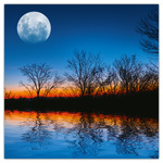 The Moon, képes lemeznaptár 2026