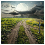 The Moon, képes lemeznaptár 2026