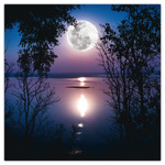 The Moon, képes lemeznaptár 2026