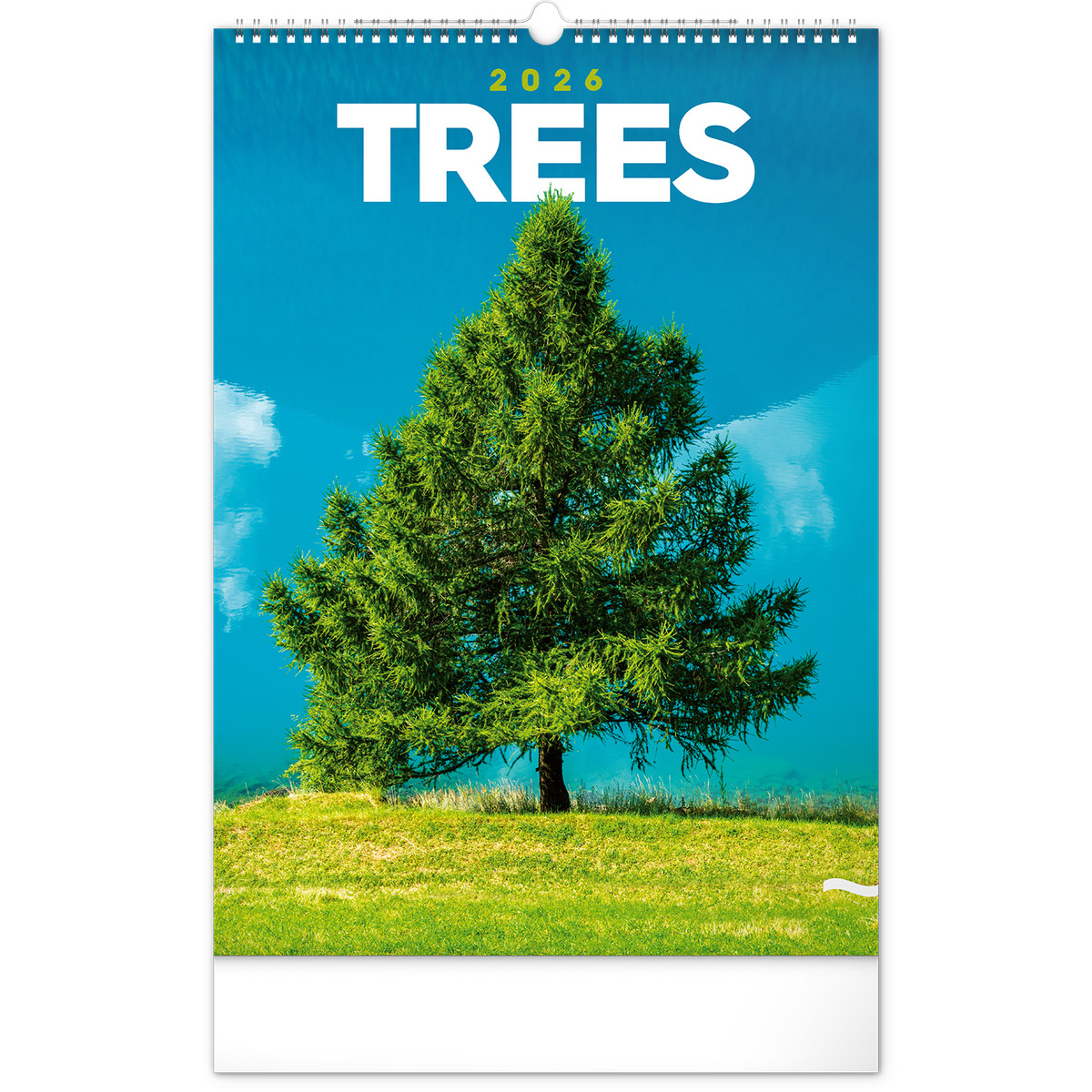 Trees, képes falinaptár 2026 Trees, képes falinaptár 2026