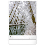 Trees, képes falinaptár 2026