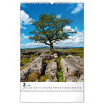 Trees, képes falinaptár 2026