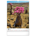 Trees, képes falinaptár 2026